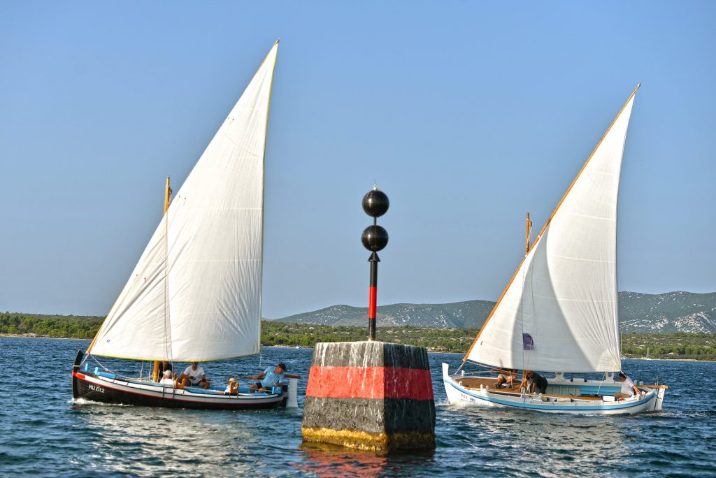 Regata Latinsko idro okret oko bove Udruga Latinsko idro