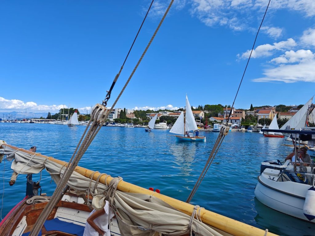 Regata Homo na jidra u Malinskoj /Snimio: Arsen Dobrijević